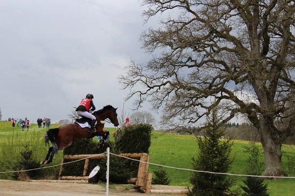 18447321_1495799000470170_1177034145251901277_n (600x400)